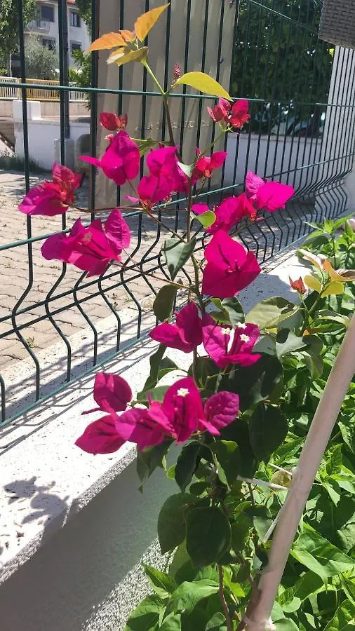Neseli Apart Bahce Cafe 세페리히사르 터키